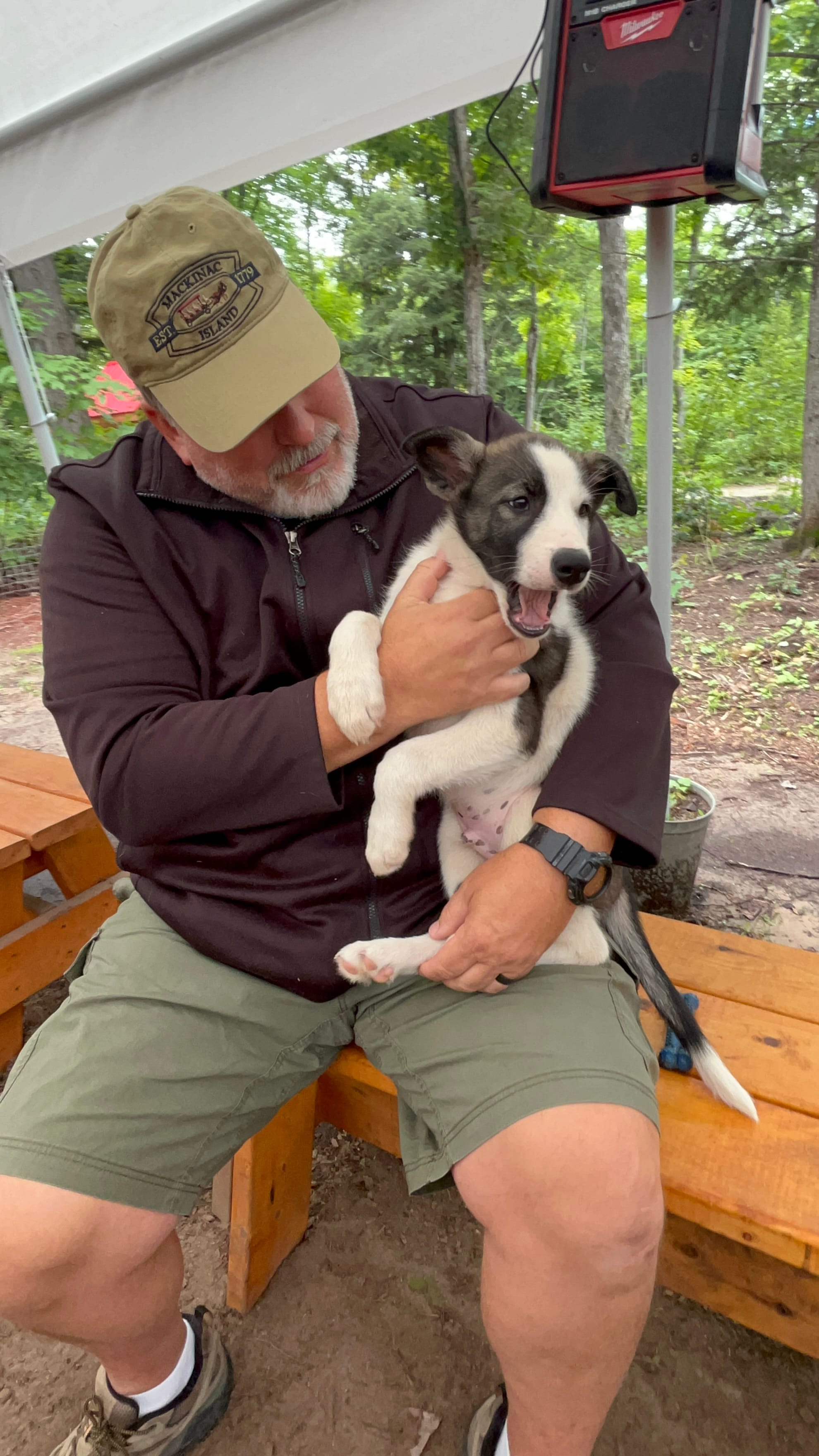MI Dog Sled Dog Training Site