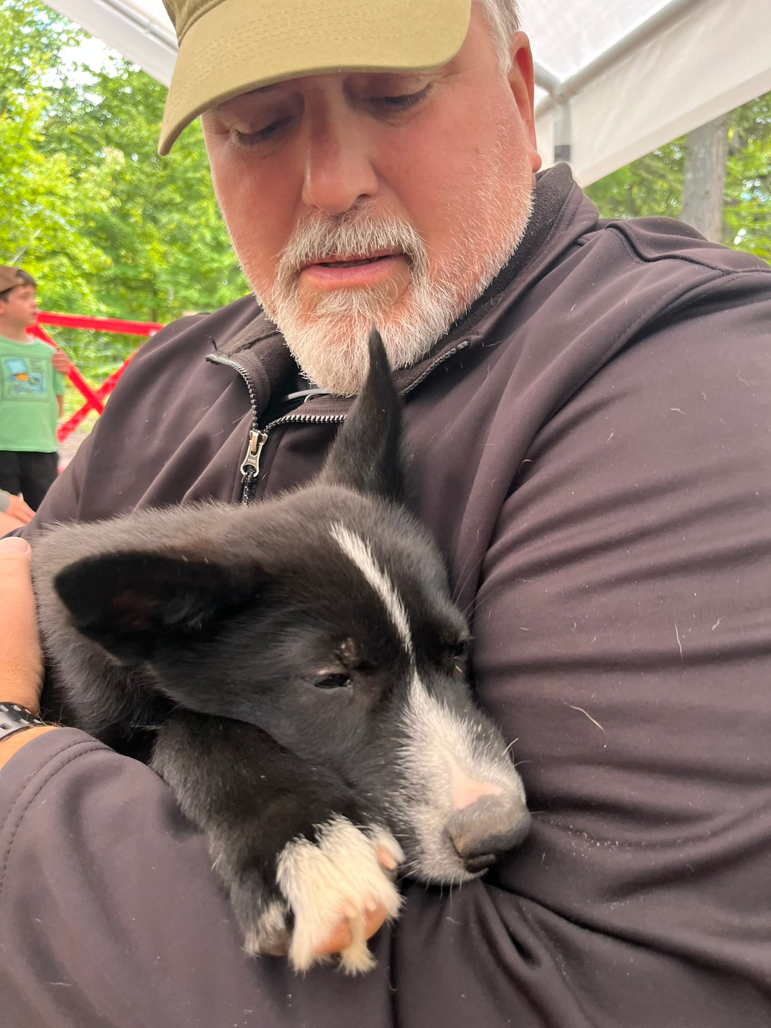MI Dog Sled Dog Training Site